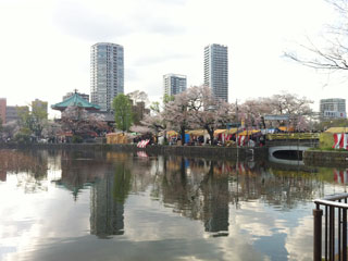 ueno_20140405-04.jpg