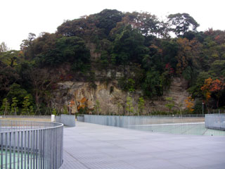 yokosuka_20101122-05.jpg