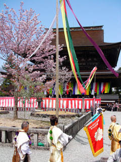 yoshino_20100411-2.jpg