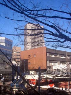 zakki_20060204-1.jpg