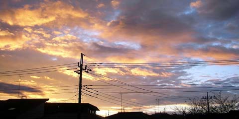 zakki_20061025-1.jpg