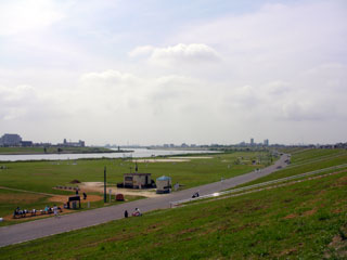 zakki_20090523-1.jpg